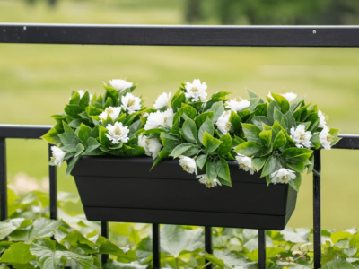 Screenshot 2026-03-24 153934